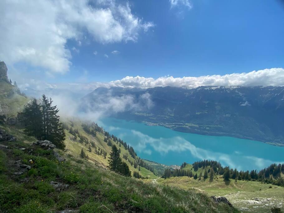 Chalet Mignon - Your Vacation Oasis At Lake Brienz Bönigen Εξωτερικό φωτογραφία